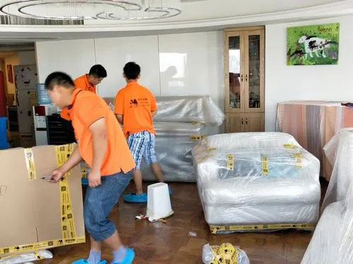 镇康精品搬家公司